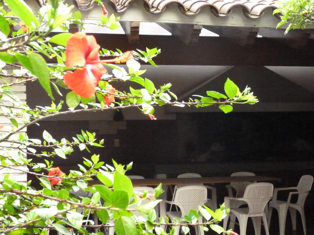 Hostel De Los Artistas Мендоса Екстериор снимка